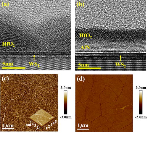 FIG. 4. Cross-sectional HR-TEM image of (a) HfO2/WS2 and (b) HfO2/AlN/WS2 structures. AFM morphology of (c) HfO2/WS2 and (d) HfO2/AlN/WS2 surfaces. The inset of figure (c) shows the 3D image of HfO2/WS2.