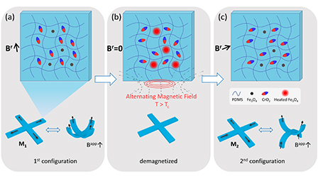 Reprogrammable shape transformation of magnetic soft robots enabled by ...