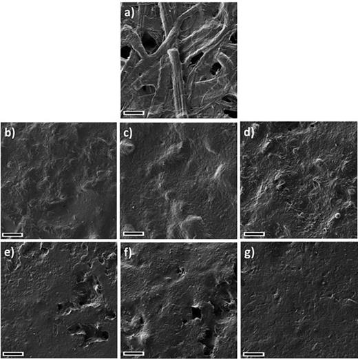 3D cellulose fiber networks modified by PEDOT:PSS/graphene ...