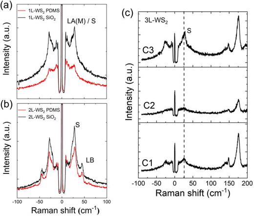 Exciton tuning and strain imaging in WS2 supported on PDMS micropillars ...