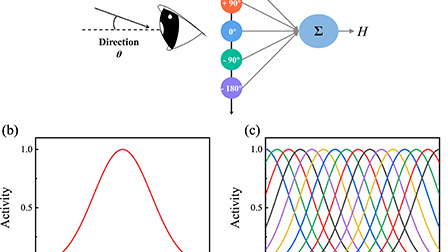 Neural-like population coding based on spin-torque diode | Applied ...