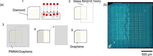(a) Nitrogen ion implantation, post-annealing for shallow NV center creation, and the graphene transfer process. (b) Superimposition of Raman image and optical microscopy image. The Raman peak intensity of graphene, G-band (∼1580 cm−1), was drawn in this figure as a Raman image.