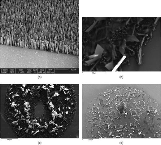 FIG. 1. (a) SEM images of a CNT sample prior to deposition of the matrix–analyte solution. (b) and (c) SEM images of a CNT sample onto which a drop of the matrix–analyte solution had been deposited. The sample in (c) had been exposed to a series of laser pulses, which led to the removal of the matrix crystals and the CNT forest in the laser spot. (d) SEM image of a single crystal silicon substrate onto which a drop of the matrix–analyte solution had been deposited. The sample was then exposed to a series of laser pulses leading to local removal of the matrix–analyte crystals and ablation of the silicon substrate.