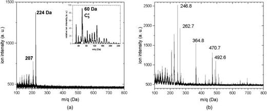 FIG. 3. Low mass range ion spectra from MALDI-MS operation in the reflectron mode from a matrix-only CNT coated sample (top) and a CNT sample with the matrix + analyte solution (bottom). We observe a series of carbon cluster ions up to mass 200 Da, and the main sinapinic acid ion peaks at 207 and 224 Da. The matrix + analyte sample also shows additional peaks in the 250–700 Da mass range that appear to be S1 fragment ions. The inset in the spectrum on top shows a spectrum from a CNT sample without matrix and without analyte taken in the linear mode with the Jordan TOF spectrometer.