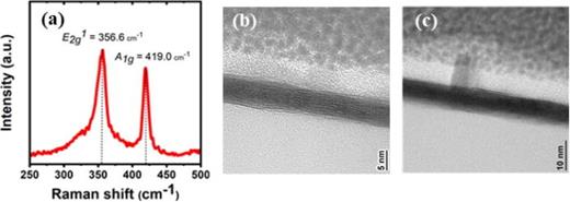 (a) Representative Raman shift data of WS2 pre-device processing showing the presence of characteristic WS2 peaks—E2g1 and A1g. (b) and (c) Representative cross-sectional TEM images of the thin-film WS2 on SiO2 pre-device processing, for the most part with the desired horizontal basal-plane orientation, along with a few out of plane features.