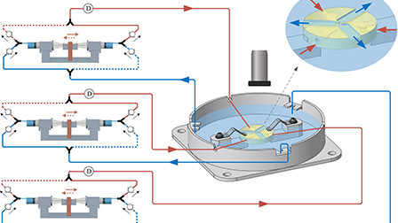 Microfluidic system for particle manipulation based on swirl | Applied ...