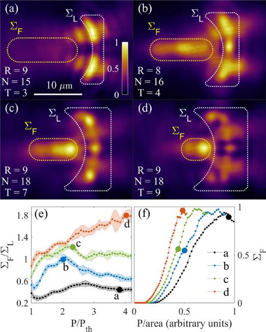 (a)–(d) Cavity PL from spot 1 for four different lens shapes with curvature radius (R), aperture (N), and thickness (T). White dots outline the lens area and yellow dots the focal area (    Σ  L , F, respectively). Each area is chosen ad hoc to lie approximately at the half-maximum contour for pump and PL, respectively. Each panel is normalized independently. (e) Corresponding focusing strength     Σ F /  Σ L of each lens and (f) and normalized intensities of the focal area ΣF as a function of normalized pumping intensity of each lens shape. The four thick dots on panels (e) and (f) indicate pump intensities at which PL is shown in panels (a)–(d).