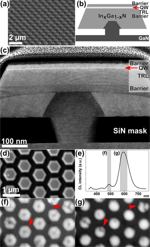 (a) SEM image in the tilted overview of the platelet array. (b) Schematic illustration of a platelet. GaN grown through the mask and overgrown with      In x   Ga  1 − x N (varying x), including barrier layers, a TRL and a high-In QW close to the top. (c) HAADF-STEM image in the cross section of the platelet covered by a protective Pt-layer. The      Si 3  N 4 mask, the different layers, and the QW are marked with text and a red arrow for the QW. (d) SEM image of a set of platelets, (e) shows the spectrum with the used integration windows, and (f) and (g) show CL emission from regions corresponding to the TRL and QW, respectively. Markers in (f) and (g) indicate examples of differences in the emission pattern.