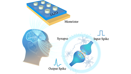 Neuromorphic memristor based on amorphous InAlZnO film for synaptic ...