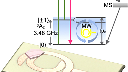 Coupling spin defects in hexagonal boron nitride to a microwave cavity ...