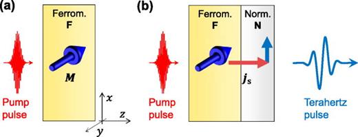 Ultrafast demagnetization and ultrafast spin transport. (a) Excitation of a ferromagnetic thin film F with a femtosecond laser pulse (pump) leads to a transient quenching of the magnetization   M. (b) Femtosecond laser-pulse excitation of a F|N stack consisting of a ferromagnetic layer F and normal-metal layer N triggers a transient ultrafast spin current with density     j  s from F to N. Spin-to-charge-current conversion converts the longitudinal spin current into a transient charge current that acts as a source of a terahertz electromagnetic pulse. This figure was adapted from Ref. 55.