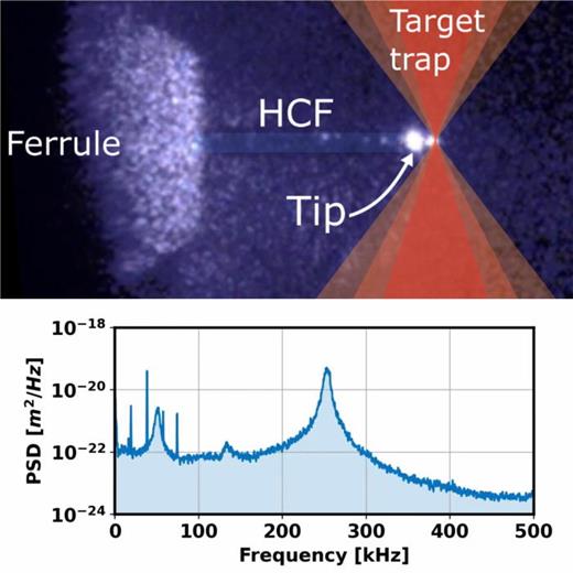 Top: video sequence of a complete transfer of a 100 nm diameter particle from HCF conveyor belt to our target trap (at total power of ∼1 W) at a pressure of 8 mbar. The overlays in the upper part show the ceramic ferrule in which the HCF is mounted, the HCF, the fiber tip (bright due to scattering), and the target trap. The video goes dark at the end as the conveyor belt is turned down since the recording camera is not sensitive to the 1550 nm of the target trap. Bottom: the corresponding power spectral density of the signal detected in the dark port of the Sagnac target trap. Multimedia available online. 