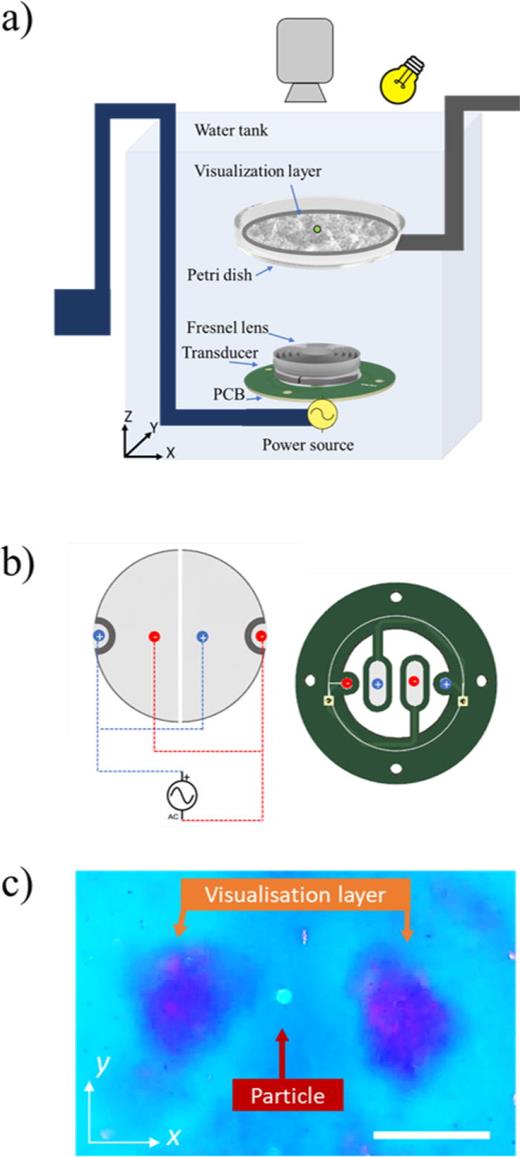 Experimental details. (a) The experiment setup that consists of an electrical connection to a PCB board onto which the transducers and Fresnel lens are mounted. The Petri dish containing the particles under manipulation is mounted on a 3-axis manipulation stage. The visualization layer is positioned directly below the particles. The manipulation process is observed with a camera and illumination from above. (b) The electrical connection to the transducers. (c) A 130 μm diameter polyethylene particle is trapped at the center of a 1.76 MHz twin-trap, with the two high-pressure lobes of the trap observed either side using the visualization layer. Scale bar is 1 mm.
