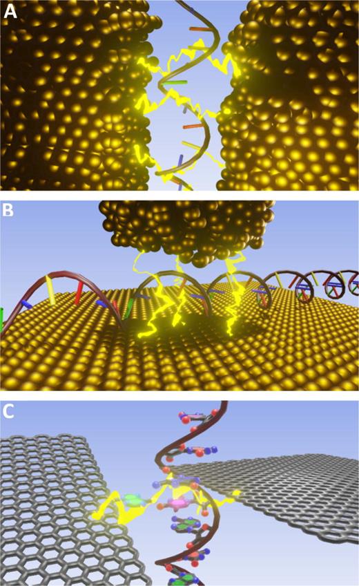 Different approaches to use electron tunneling for nucleotide detection and identification. (a) Mechanically controlled break junction (MCBJ). (b) Scanning tunneling microscopy (STM) gaps. (c) Graphene tunnel junction that can be edge functionalized with linker molecules.