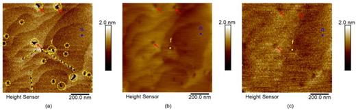 Topographic images of the same area on the HEMT surface captured (a) using a sharp Bruker ScanAsyst-Air™ tip in PeakForce Tapping™ mode, (b) using a milled Adama AD-450-AS™ tip in conventional SCM mode, and (c) in hyperspectral SCM mode. The broad features marked with red arrows match each other in the three images, indicating that the same area was scanned. All the fissures are highlighted in yellow in image (a). Corresponding locations of a fissure (f) and a non-fissure region (n) in the images are indicated by a yellow dot and a blue dot, respectively.