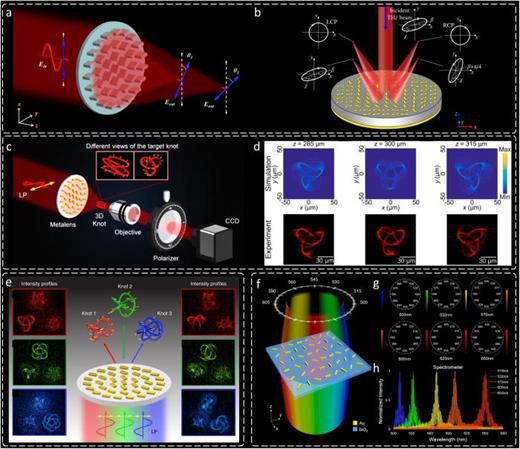 Metalenses for realizing polarization rotation, 3D polarization structure manipulation and a compact spectrometer. (a) A multi-foci metalens with a polarization rotation functionality. (b) Application of multi-foci metalens for the polarization detection in the THz range. (c) Customized 3D polarization structures based on multi-foci metalens. (d) Simulated and experimental intensity distributions of 3D structures at different observation planes under the illumination of an RCP incident light beam. (e) Metasurface for color-selective 3D polarization structures. The left panel and right panel show the light intensity distributions without and with an analyzer, respectively,. (f) A compact metasurface spectrometer based on multi-foci metalens. (g) Light intensity distribution under the illumination of different monochromatic incident light beams. (h) Spectrum detected by the metasurface spectrometer under the illumination of the polychromatic incident light beam. Polychromatic light beam contains five different wavelengths. Panels reproduced with permission from: (a) reproduced with permission from Zang et al., Laser Photon. Rev. 13, 1900182 (2019).431 Copyright 2019 Wiley-VCH. (b) Reproduced with permission from Chang et al., J. Vac. Sci. Technol., B 21, 2755 (2003). Copyright 2020 Optica Publishing Group (formerly OSA).432 (c) and (d) Reproduced with permission from Wang et al., Nano Lett. 21, 2081 (2021). Copyright 2021 American Chemical Society.433 (e) Reproduced with permission from Intaravanne et al., Light Sci App 11, e302 (2022). Copyright 2022 Springer Nature.434 (f)–(h) Reproduced with permission from Intaravanne et al., Adv. Opt. Mater. 12, 2203097 (2024). Copyright 2023 Springer Nature.435