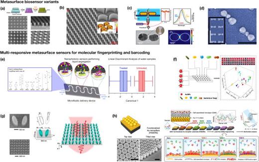 Metasurface biosensing examples. (a) Gold mushroom nanostructures.241 (b) Quasi-BIC mode supporting silicon crescent nanostructures.249 (c) Flow-through nanohole sensor for DNA sensing.273 (d) DNA-directed nanoparticle localization inside gold bowties, as a sensing system.239 (e) Cross-reactive metasurfaces for monitoring water treatment sites.277 (f) Multi-responsive, array-based nanoparticle sensor for micro-organism detection.278 (g) Barcode-based biosensing with elliptical dielectric resonators.251 (h) A SERS-based artificial nose sensors.279 (a) Reprinted with permission from Shen et al., Nat. Commun. 4, 2381 (2013). Copyright 2013 Macmillan Publishers Limited.241 (b) Reprinted with permission from Wang et al., Adv. Funct. Mater. 31, 2104652 (2021). Copyright 2021 Wiley-VCH GmbH.249 (c) Reprinted with permission from Shi et al., Nano Lett. 18, 8003 (2018). Copyright 2018 Authors, licensed under a Creative Commons Noncommercial License (CC-BY-NC-ND).273 (d) Reprinted with permission from Clark et al., Adv. Mater. 26, 4286 (2014). Copyright 2021 Wiley-VCH Verlag GmbH & Co.239 (e) Reprinted with permission from Sperling et al., Environ. Sci. 10, 3500 (2023). Copyright 2020 Authors, licensed under a Creative Commons Attribution 3.0 Unported License.277 (f) Reprinted with permission from Li et al., Anal. Chem. 89, 10639 (2017). Copyright 2017 American Chemical Society.278 (g) Reprinted with permission from Yesilkoy et al., Nat. Photonics 13, 390 (2019). Copyright 2019 Springer Nature Limited.251 (h) Reprinted with permission from Kim et al., Nat. Commun. 11(1), 207 (2020). Copyright 2020 Authors, licensed under a Creative Commons Attribution 4.0 International License.279