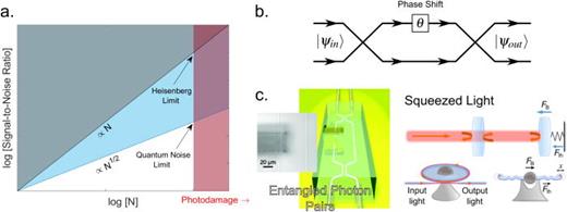 Quantum optical sensing concepts. (a) Schematic of SNR scaling with photon number per measurement N according to the QNL and Heisenberg limit. The white region is accessible with classical states of light. By using quantum sensing methods, the QNL can be beaten to access the blue region. Limits on optical power, such as photodamage, in delicate biological samples (red region) mean that there can be an advantage to quantum sensing measurements, which cannot be met by classical light at any power. (b) A Mach–Zehnder interferometer, which is a widely used tool in quantum sensing schemes measuring optical phase differences. (c) Examples of quantum sensing. An integrated photonic/microfluidic chip MZI for protein concentration sensing with entangled photon pairs. Adapted with the permission from Crespi et al., Appl. Phys. Lett. 100, 233704 (2012).27 Copyright 2012 AIP Publishing. A magnetometer enhanced by squeezed light based on magnetically induced mechanical vibrations of a WGM toroid. Adapted with permission from Li et al., Optica 5, 850–856 (2018).28 Copyright 2018 Optical Society of America.
