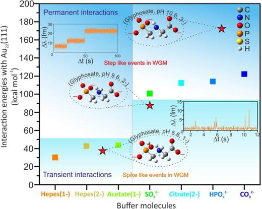 Understanding WGM signals with DFT calculations. The figure shows the interaction energies of various buffer and glyphosate molecules with the Au (111) surface. Analyte molecules (for example, glyphosate) can only interact with the nanoparticle surface once they surpass the interaction energies of the buffer molecules. If glyphosate surpasses the interaction energy of buffer molecules, it will lead to a step-like permanent interaction; conversely, if its interaction energy is below the buffer molecules, it will lead to a transient spike-like event.