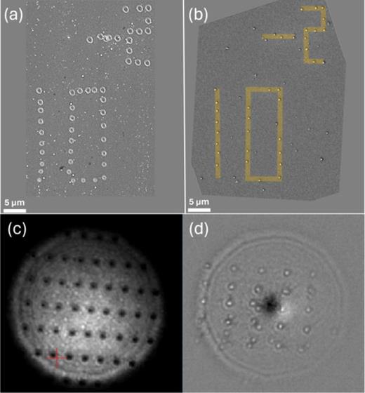 Transfer of pristine silicon nanoparticles. Electron microscopy can help correlate the (a) femtosecond meltout craters with (b) the particle patterns captured on a screen in high vacuum. Interference scattering microscopy (iSCAT) is used to image the (c) target and (d) the capture slide in real time and in situ, here demonstrated for laser transfer in air. Both illustrate that pristine nanoparticles can be generated and transferred on demand, with a yield of about 90% and a directionality smaller than 1.5°.