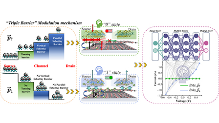 Sliding ferroelectricity-induced triple barrier modulation in van der ...