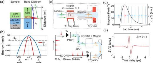 (a) Schematic of the sample structure and band alignment. The 2DHG is created by the large intrinsic and strain-induced polarization at the GaN/AlN interface. (b) Schematic of the calculated dispersion of the GaN valence bands; the 2DHG populates both heavy- and light-hole bands. (c) Experimental schematic. Samples are mounted on the sapphire cold finger of a helium cryostat, the end of which is positioned within a small pulsed magnet. An ECOPS-based time-domain THz spectrometer generates THz optical pulses using a fiber-coupled photoconducting transmitter (Tx). The THz light is collimated and focused through the sample by off-axis parabolic (OAP) mirrors, and then re-focused to a THz receiver (Rx). Wire-grid linear polarizers P1 and P2 control the THz polarization (set to  0° and  ±45°, respectively). (d) The field profile of a 31 T magnet pulse, and the simultaneously measured THz electric field  E(t), shown vs lab time. (e) Expanded view of the measured THz electric field  E(t) measured at 31 T, plotted vs optical time delay.
