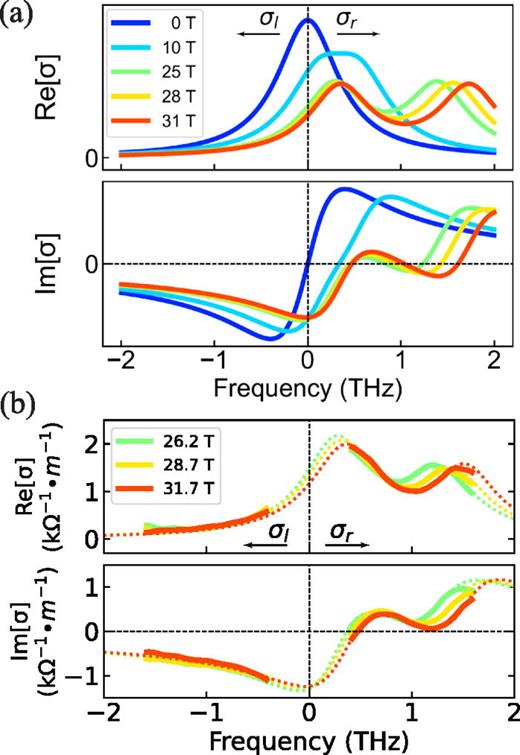 (a) Simulation of the left- and right-circularly polarized complex optical conductivity,  σl,r(ω), from a 2D layer containing two species of mobile hole carriers having effective masses  meff=0.5me and  2.5me. Each species is assigned the same spectral weight, and same scattering time  τ = 0.4 ps. Negative and positive frequencies correspond to  σl(ω) and  σr(ω), respectively. Each species contributes a Drude-like conductivity (with real part Re[ σ] and imaginary part Im[ σ]), given by a complex Lorentzian oscillator centered at the cyclotron frequency  ωc=eB/meff. The conductivity peaks from the two species become separated and easier to individually resolve at high B, due to their different  meff and  ωc. (b) The measured complex optical conductivity of the 2DHG, at 8 K and in the high B indicated. The dashed lines are fits using a simple Drude model with both hh and lh carriers.