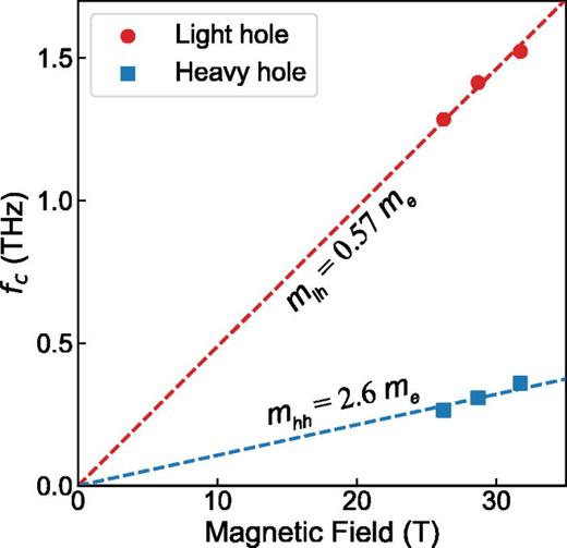The measured cyclotron frequencies of light and heavy holes in the 2DHG. The dashed lines are linear fits to  fc=ωc/2π=eB/2πmeff, from which the heavy- and light-hole effective masses are directly revealed.