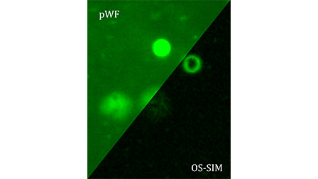 wobulation-using-a-tunable-electrowetting-prism-applied-to-structured