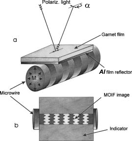 Magnetic domain structure of wires studied by using the magneto-optical ...