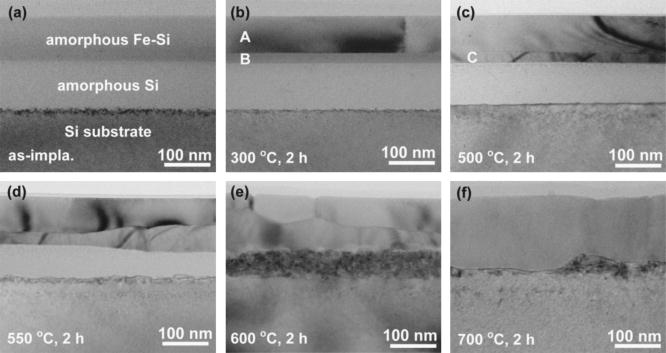 Solid phase crystallization of amorphous Fe–Si layers synthesized by ...