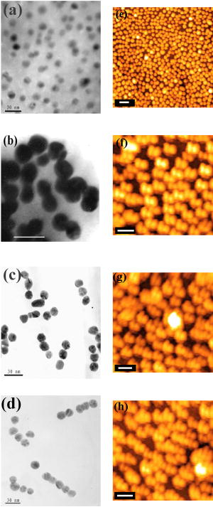 Controlled surface-plasmon coupling in SiO2-coated gold nanochains for ...