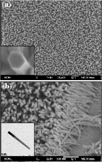 Rectifying junction in a single ZnO vertical nanowire | Applied Physics ...