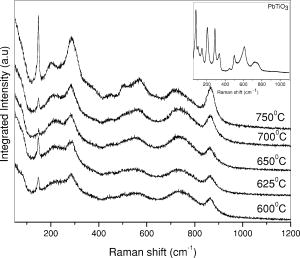 Probing the ferroelectric phase transition through Raman spectroscopy ...