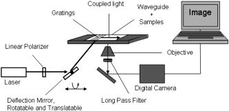 Waveguide evanescent field fluorescence microscopy: Thin film ...