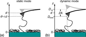 Dynamic force spectroscopy of single chainlike molecules using the ...