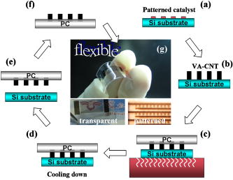 Transfer of patterned vertically aligned carbon nanotubes onto plastic ...