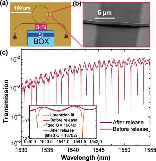 Adiabatic embedment of nanomechanical resonators in photonic microring