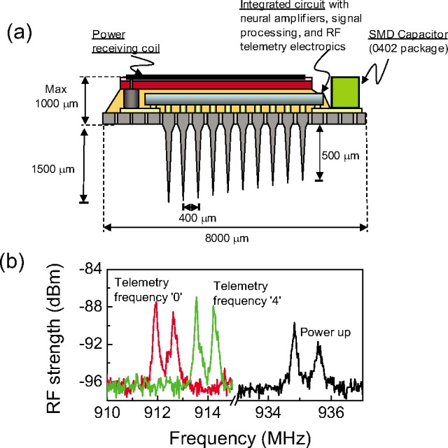 Long term in vitro stability of fully integrated wireless neural ...