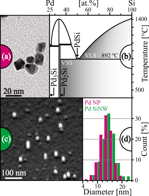 Citrate-stabilized palladium nanoparticles as catalysts for sub-20 nm ...