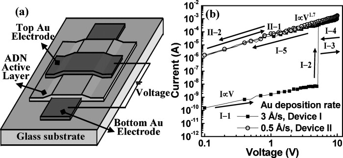 Memory bistable mechanisms of organic memory devices | Applied Physics ...