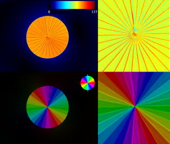 FIG. 3. Birefringence characterization of the structure performed with the Abrio system. The top images represent retardance value distribution with 5× (left) and 20× (right) magnification of the structure. The bottom images represent the color-coded distribution of slow axis.
