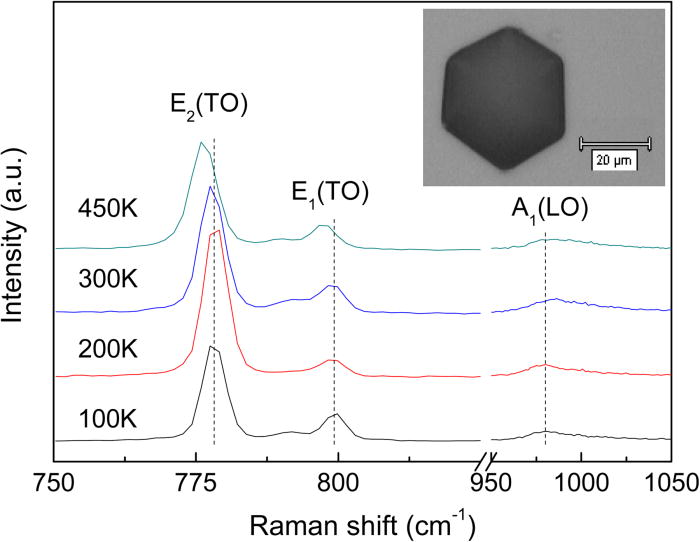 Temperature dependence of Raman scattering from 4H-SiC with hexagonal ...