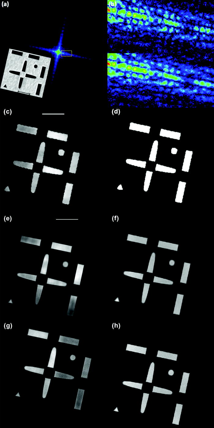 Simultaneous sample and spatial coherence characterisation using ...