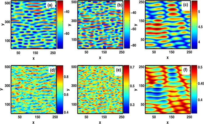 Pattern formation and nonlinear evolution in alloy surfaces by ion-beam ...