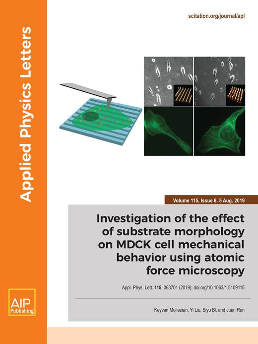 Applied Physics Letters Cover Image for Volume 115, Issue 6
