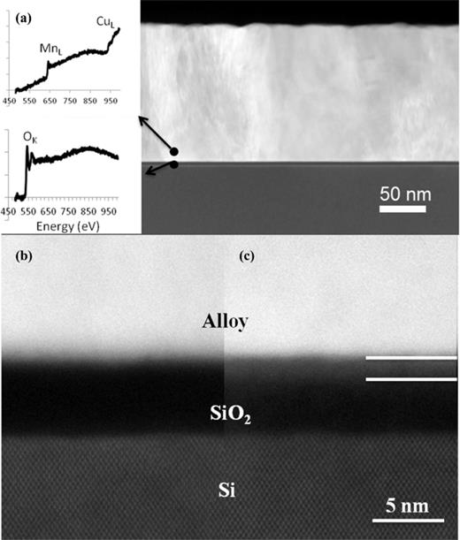 Scanning transmission electron microscopy investigations of self ...