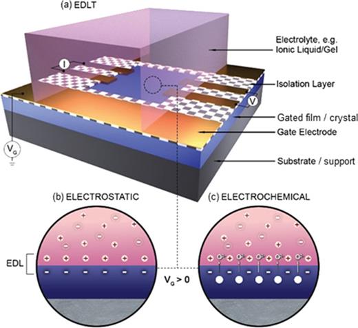 (a) Schematic side-gate EDLT device. I and V are the current and voltage for channel resistance measurement; note that one of these electrodes is grounded. (b) and (c) Illustrations of (b) electrostatic and (c) electrochemical gating mechanisms. In (b), O2− ions are being removed from the gated/target material (blue) to form VO. Adapted with permission from C. Leighton, Nat. Mater. 18, 13 (2019). Copyright 2018, Springer Nature Limited.