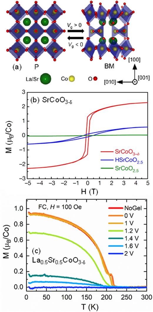 (a) Perovskite (La1−xSrxCoO3) and brownmillerite (La1−xSrxCoO2.5) structures of (La,Sr)CoO3−δ. Note the ordered lines and planes of VO in the brownmillerite. Adapted with permission from Chaturvedi et al., ACS Appl. Mater. Interfaces 13, 51205 (2021). Copyright 2021 American Chemical Society. (b) 10 K magnetization vs magnetic field for SrCoO3−δ films gated to ferromagnetic perovskite (red) and antiferromagnetic brownmillerite (green) phases; also shown is HSrCoO2.5 (blue), a third phase, achieved via H insertion. Adapted with permission from Lu et al., Nature 546, 124 (2017). Copyright 2017, Springer Nature. (c) Magnetization vs temperature for La0.5Sr0.5CoO3−δ films gated (at the shown Vg) from the ferromagnetic perovskite to nonferromagnetic brownmillerite phases. Adapted with permission from Chaturvedi et al., ACS Appl. Mater. Interfaces 13, 51205 (2021). Copyright 2021 American Chemical Society.