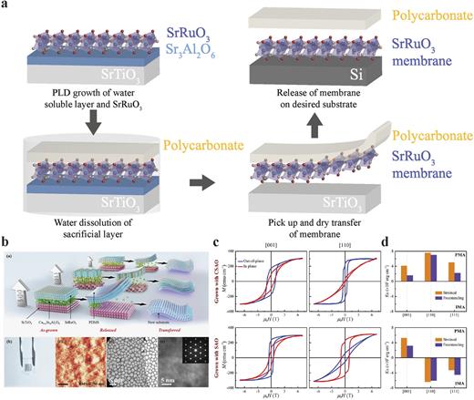 Materials challenges for SrRuO3: From conventional to quantum ...